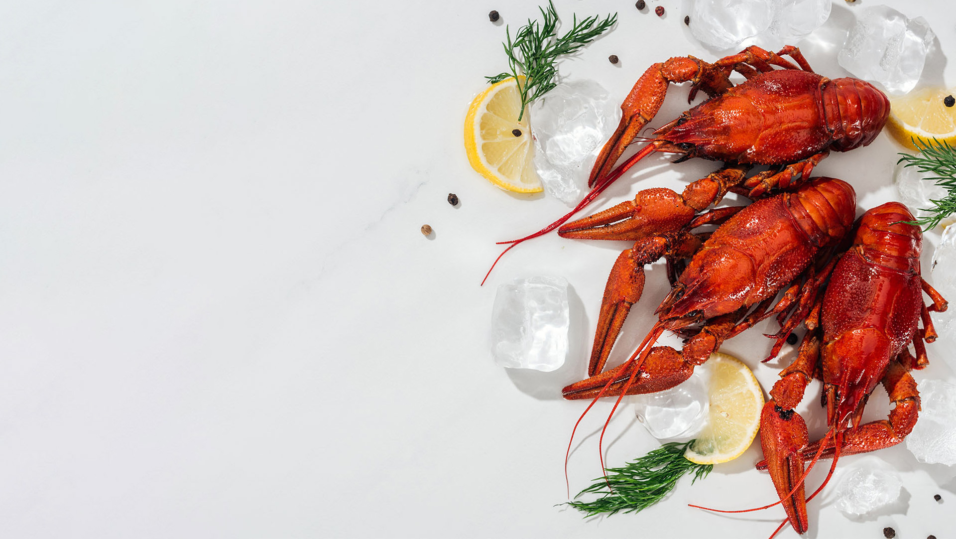 Slider-OceanLives-Lobsters