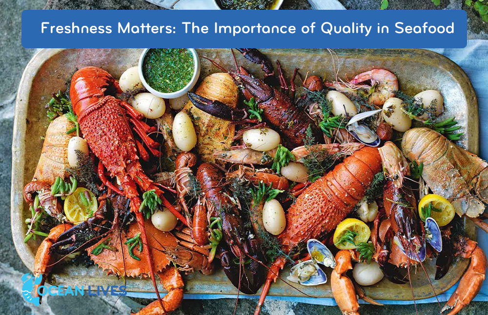 Freshness-Matters-The-Importance-of-Quality-in-Seafood