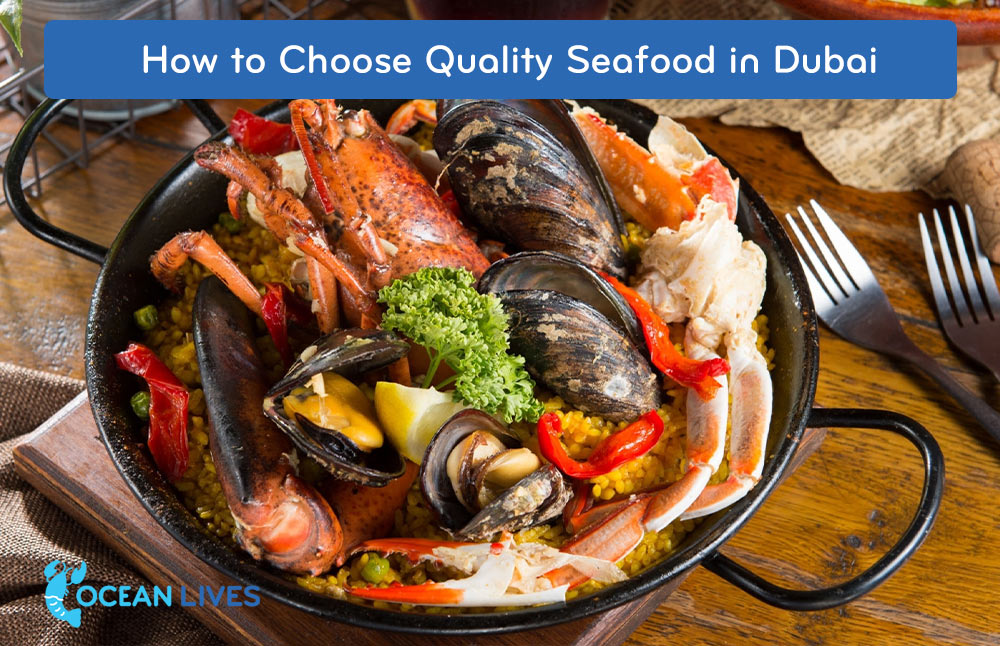 How-to-Choose-Quality-Seafood-in-Dubai