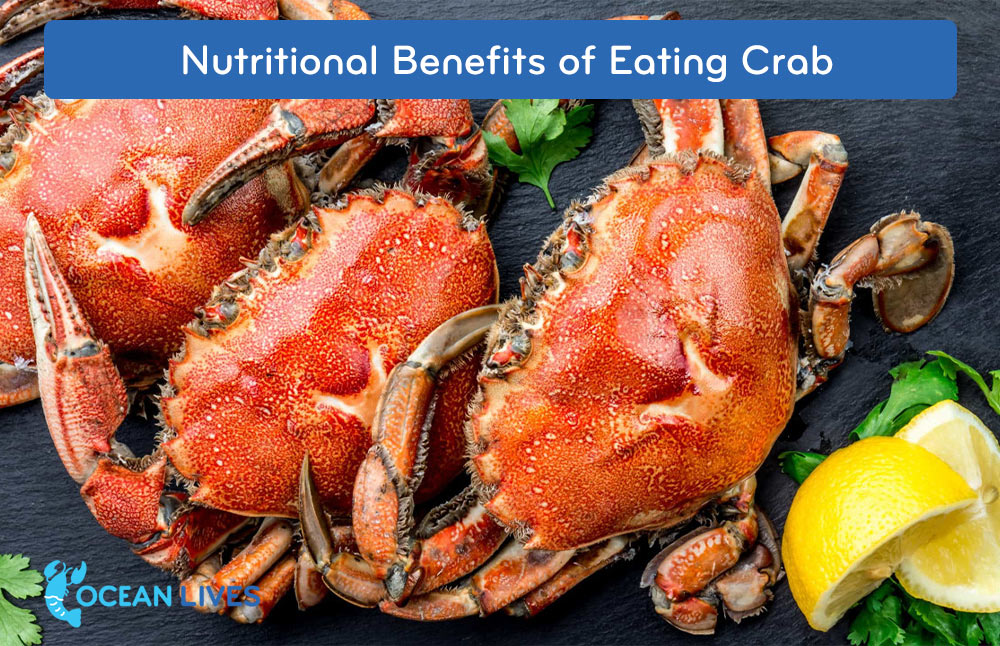 Nutritional-Benefits-of-Eating-Crab