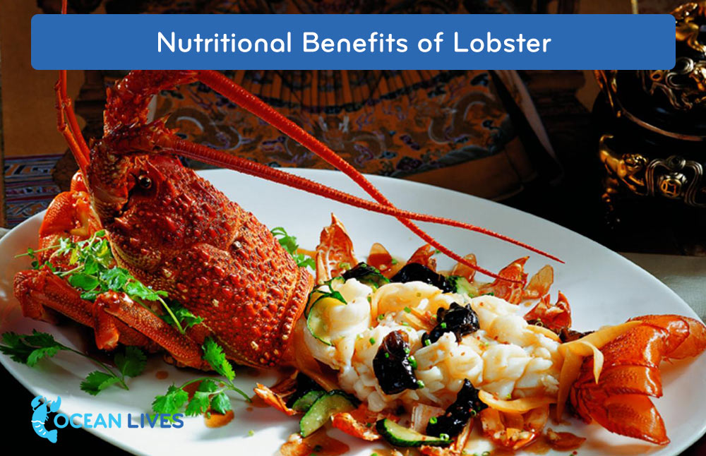 Nutritional-Benefits-of-Lobster