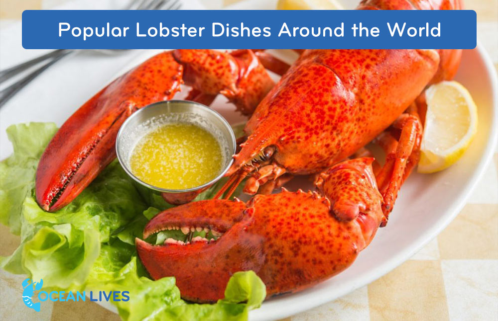Popular-Lobster-Dishes-Around-the-World