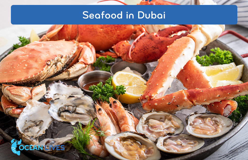 Seafood-in-Dubaii