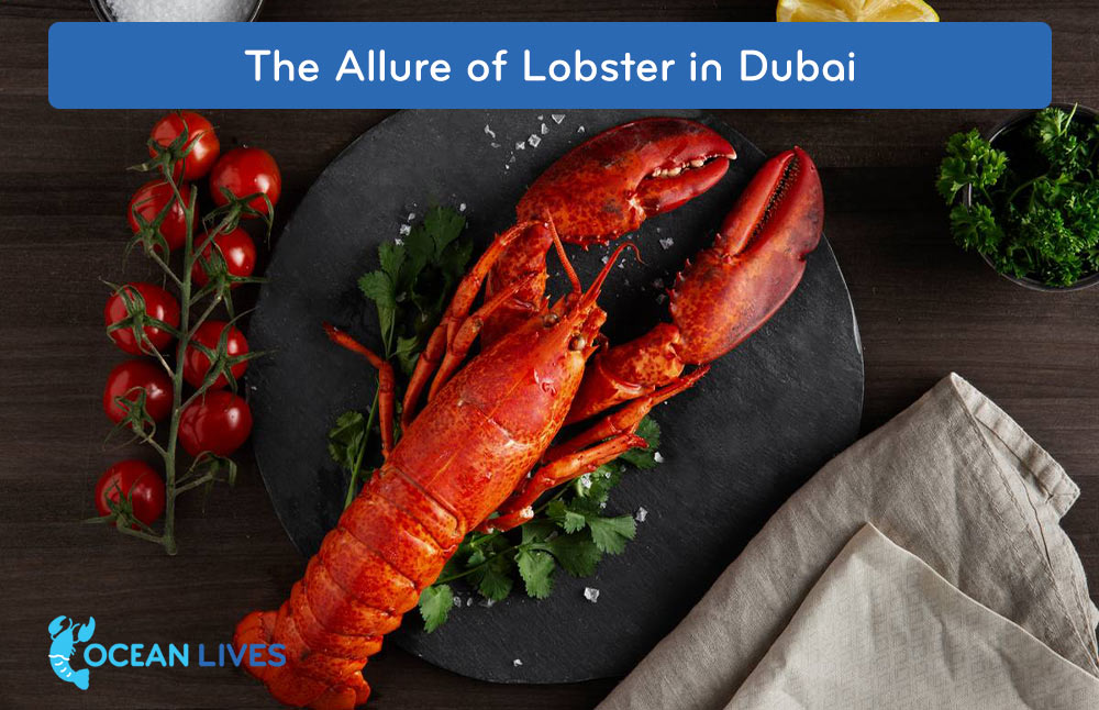The-Allure-of-Lobster-in-Dubai