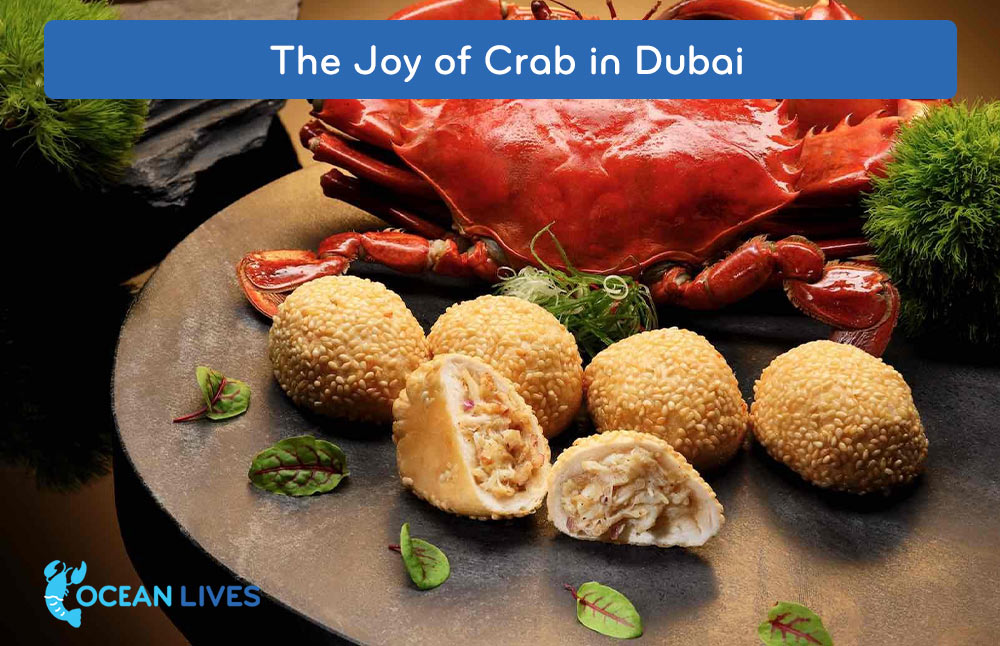 The-Joy-of-Crab-in-Dubai