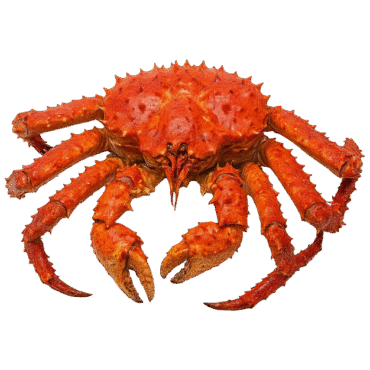 Live King Crab Online in UAE