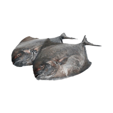 Fresh Black Pomfret (Zubaidi Aswad / Karutha Avoli)