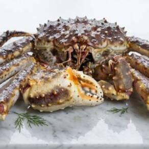 king crab