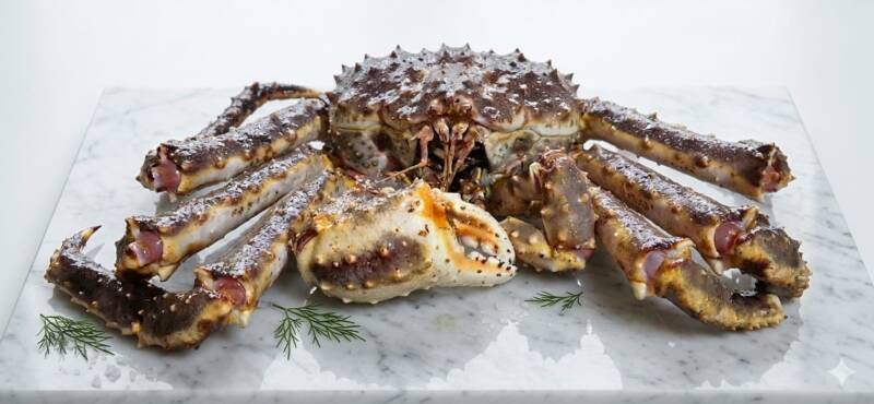 king crab