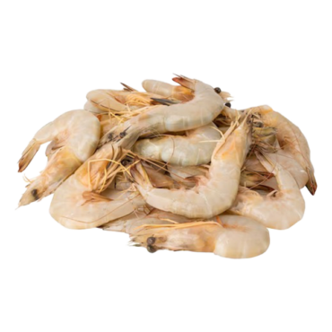 Fresh Small Shrimp