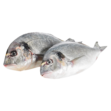 Fresh Sea Bream