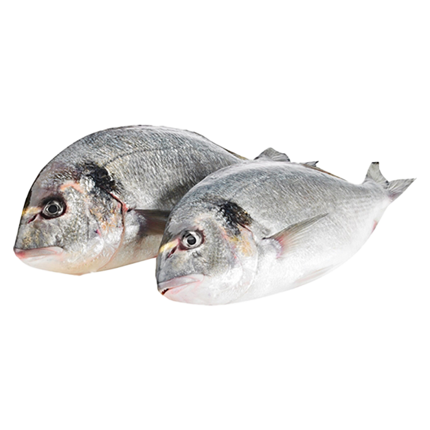 Fresh Sea Bream