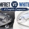 Black Pomfret vs White Pomfret: A Complete Comparison