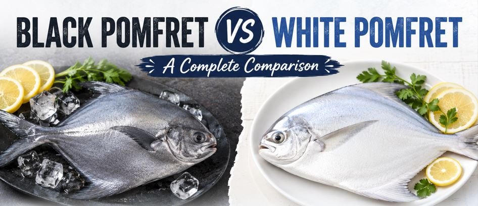Black Pomfret vs White Pomfret